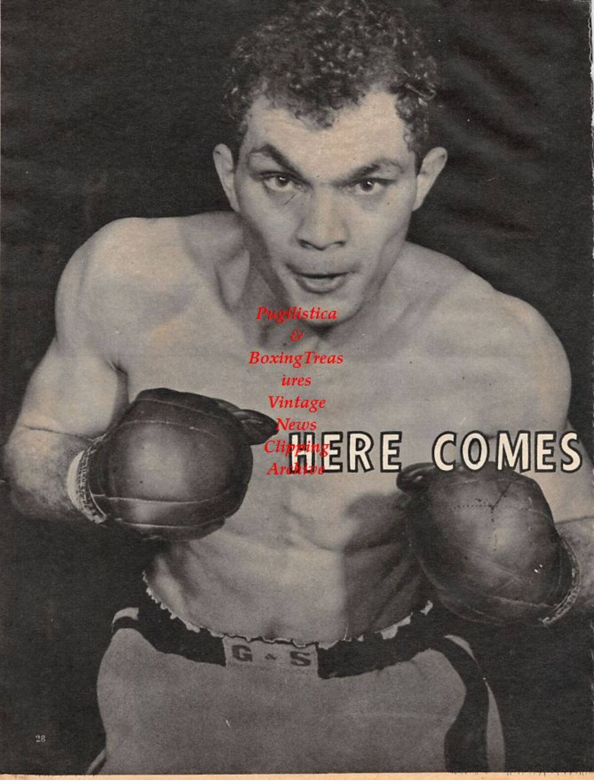 Boxing 桌布 壁紙 — 一張復古黑白肖像，描繪一位肌肉發達的拳擊手戴著手套，專注地凝視鏡頭。