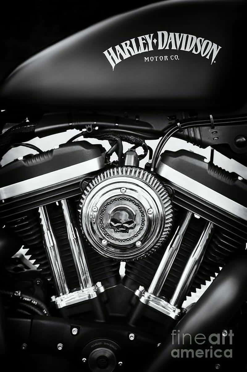 Harley Davidson HD 桌布 壁紙 — 一張戲劇性的黑白特寫，展示哈雷戴維森摩托車引擎，帶有鍍鉻細節和骷髏標誌。