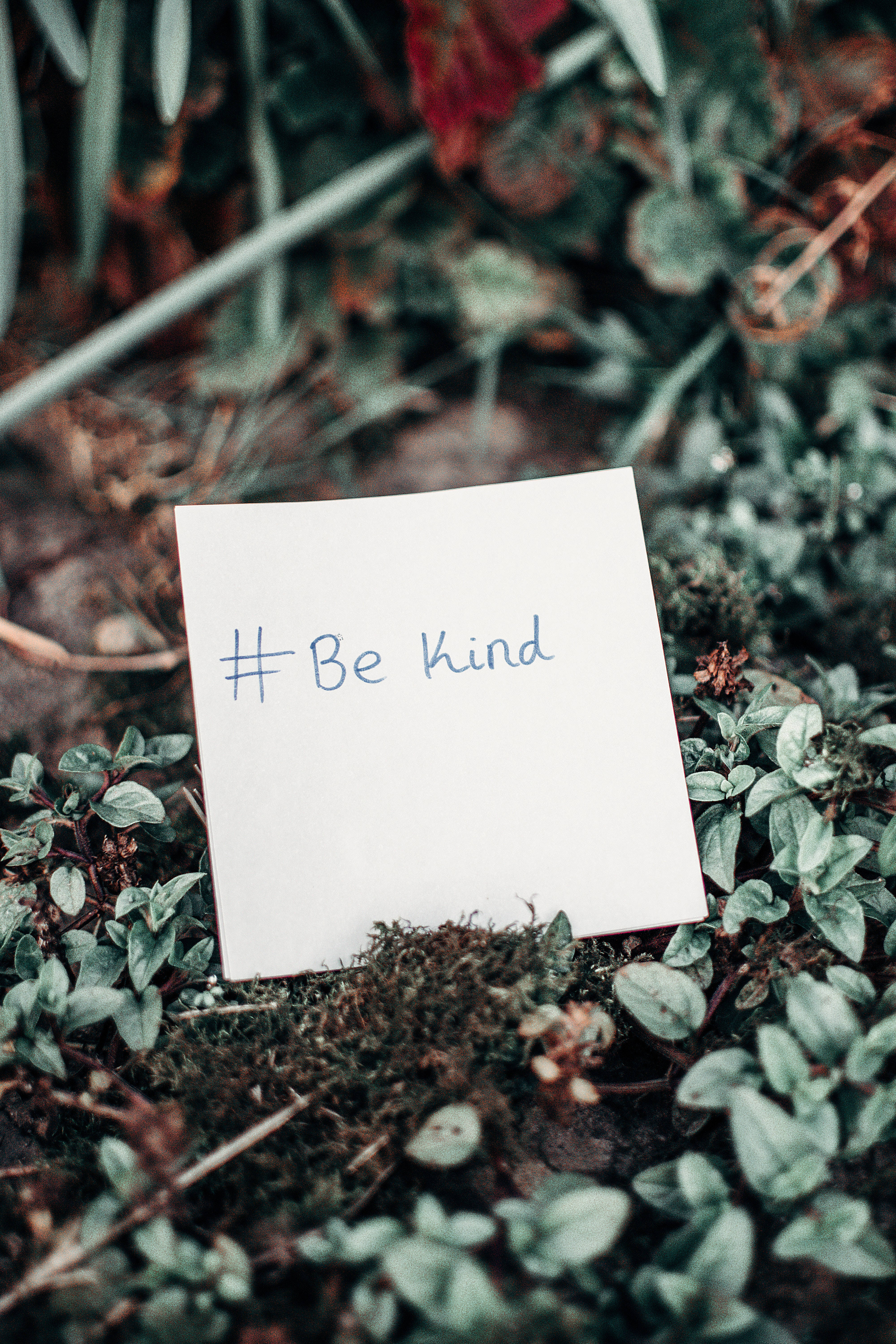 mental health 桌布 壁紙 — 一張手寫便條，上面寫著 #Be kind，放在自然環境中的苔蘚和綠色植物之間。