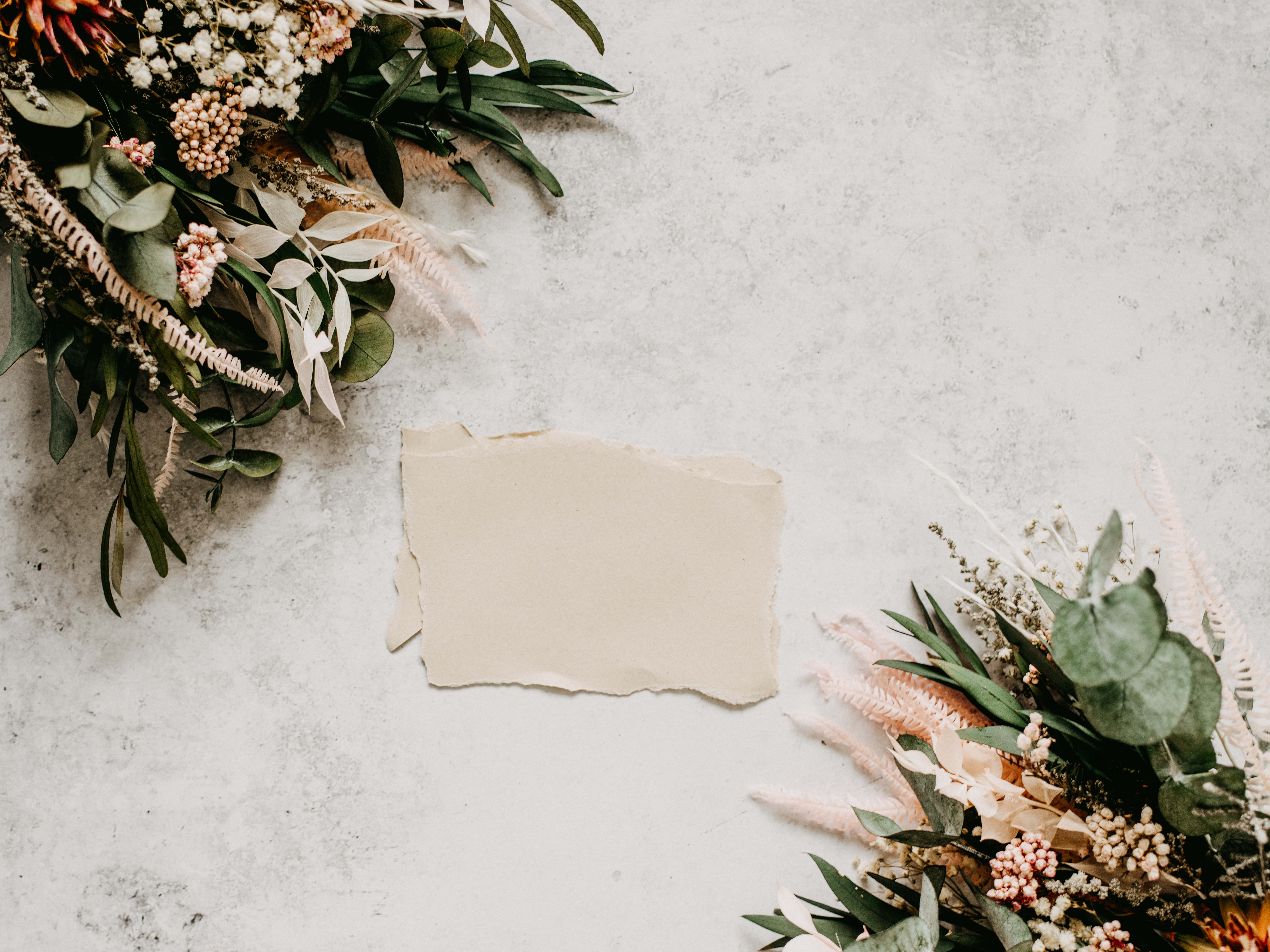 Flowers Aesthetic 桌布 壁紙 — 一張撕破的米色紙張放在有紋理的白色表面上，周圍環繞著茂盛的乾花佈置，配有綠色桉樹和柔和的粉紅色點綴。