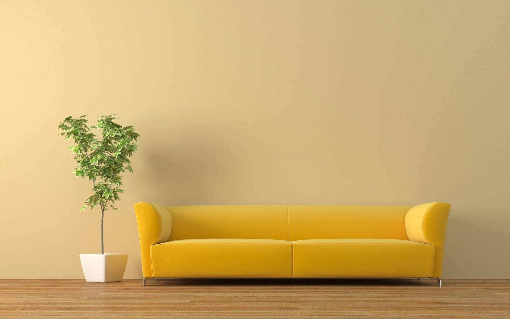 Home 桌布 壁紙 — 一張明亮的黃色沙發靠在米色牆邊，旁邊是木地板上的一盆綠色樹木。