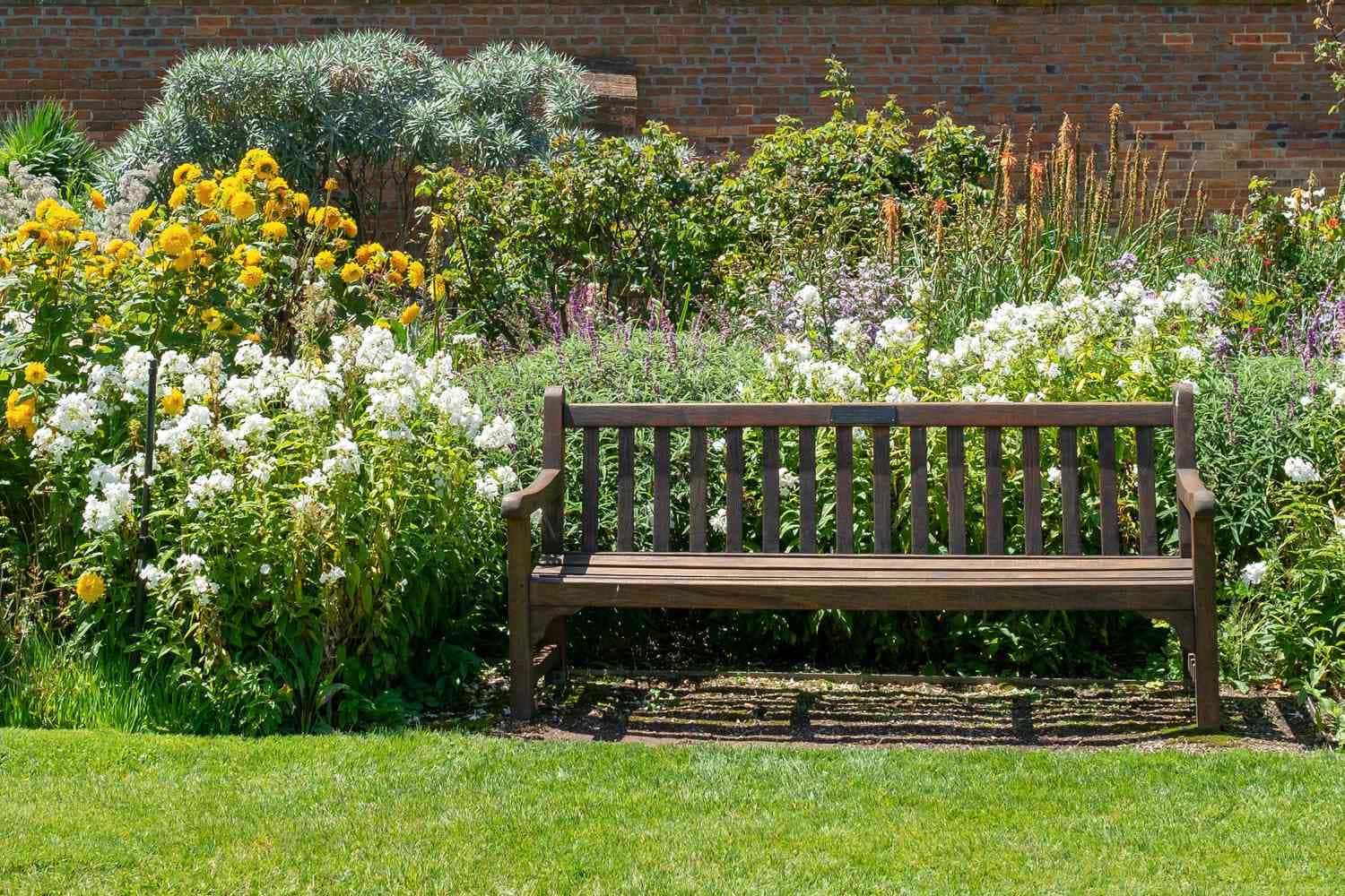 Garden Design 桌布 壁紙 — 一張木凳在陽光普照的花園中，周圍是鮮豔的黃色和白色花朵，背景是磚牆，顯得格外誘人。