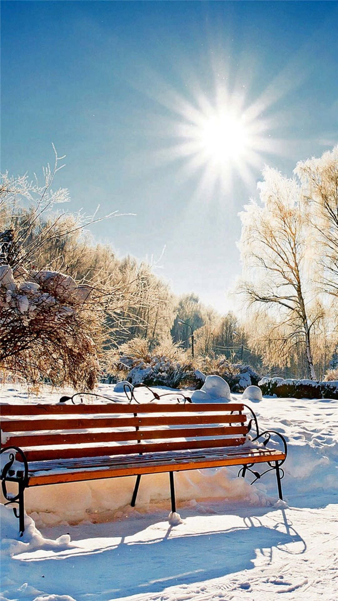 桌布 壁紙 — 一張木製長椅放在白雪覆蓋的公園中，背景有結霜的樹木和明亮的太陽。