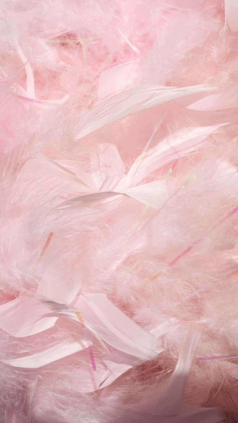 Pink Girly 桌布 壁紙 — 一張柔軟的淡粉紅色羽毛床，帶有精緻的白色絲線和微妙的虹彩高光。