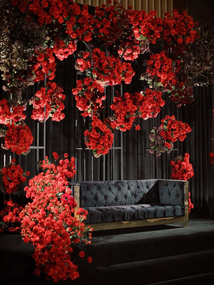 Roses Wedding 桌布 壁紙 — 一張柔軟的深色沙發位於黑色背景下，上方懸掛著奢華的鮮紅玫瑰瀑布。