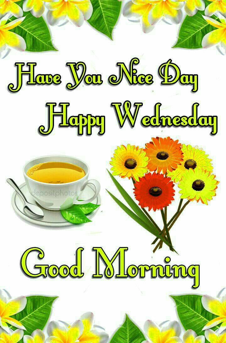 happy wednesday 桌布 壁紙 — 一張歡樂的問候卡，上面有一杯茶和鮮豔的非洲菊雛菊，周圍環繞著雞蛋花和振奮人心的文字。