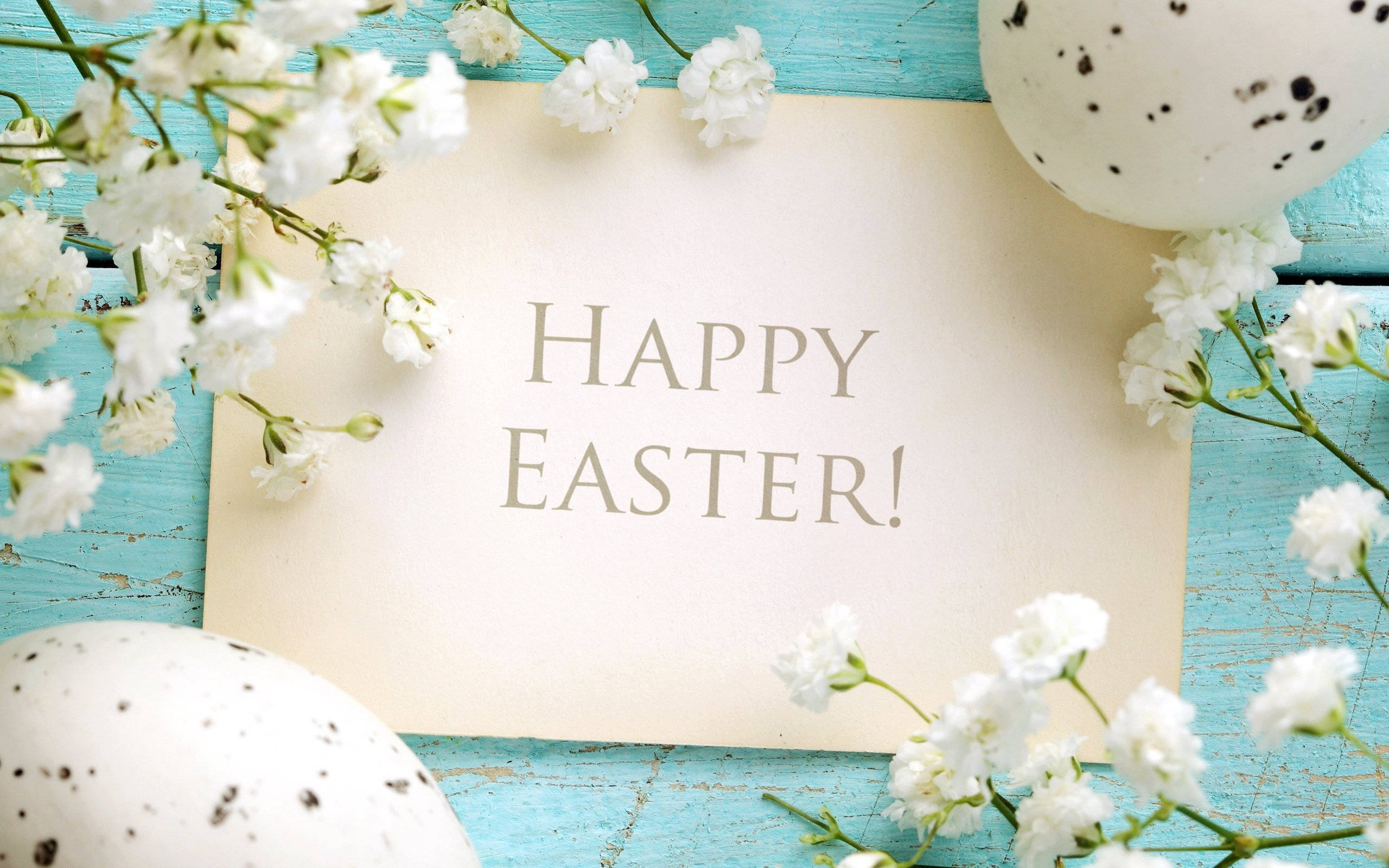 Easter 桌布 壁紙 — 一張歡樂的復活節賀卡，以精緻的白色滿天星和斑點蛋環繞，放置在風化的藍綠色木質表面上。
