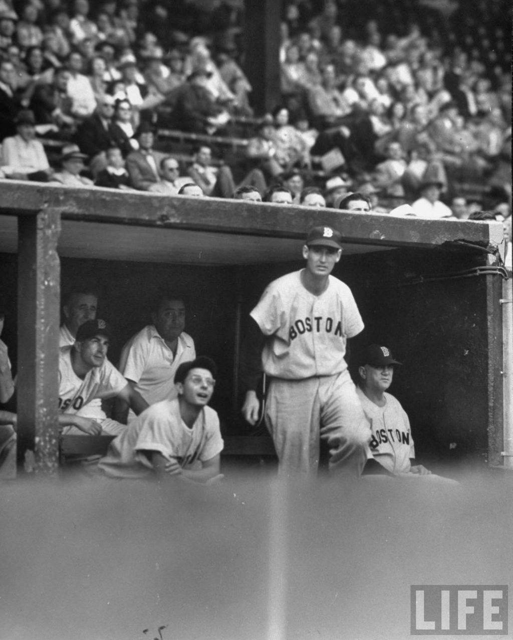 Ted Williams 桌布 壁紙 — 一張波士頓棒球隊在球員休息區觀看比賽的復古黑白照片。