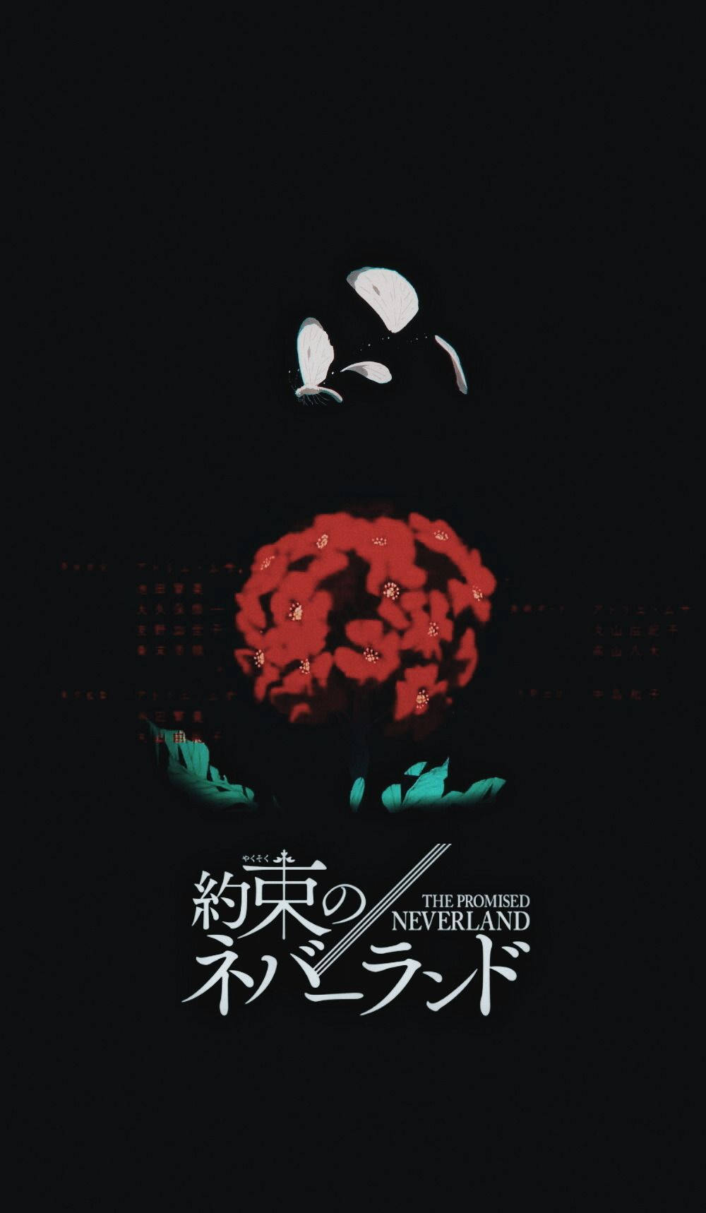 The Promised Neverland 桌布 壁紙 — 一張深色動漫海報，黑色背景上有一朵發光的紅花和白色花瓣，並帶有日文和英文文字。