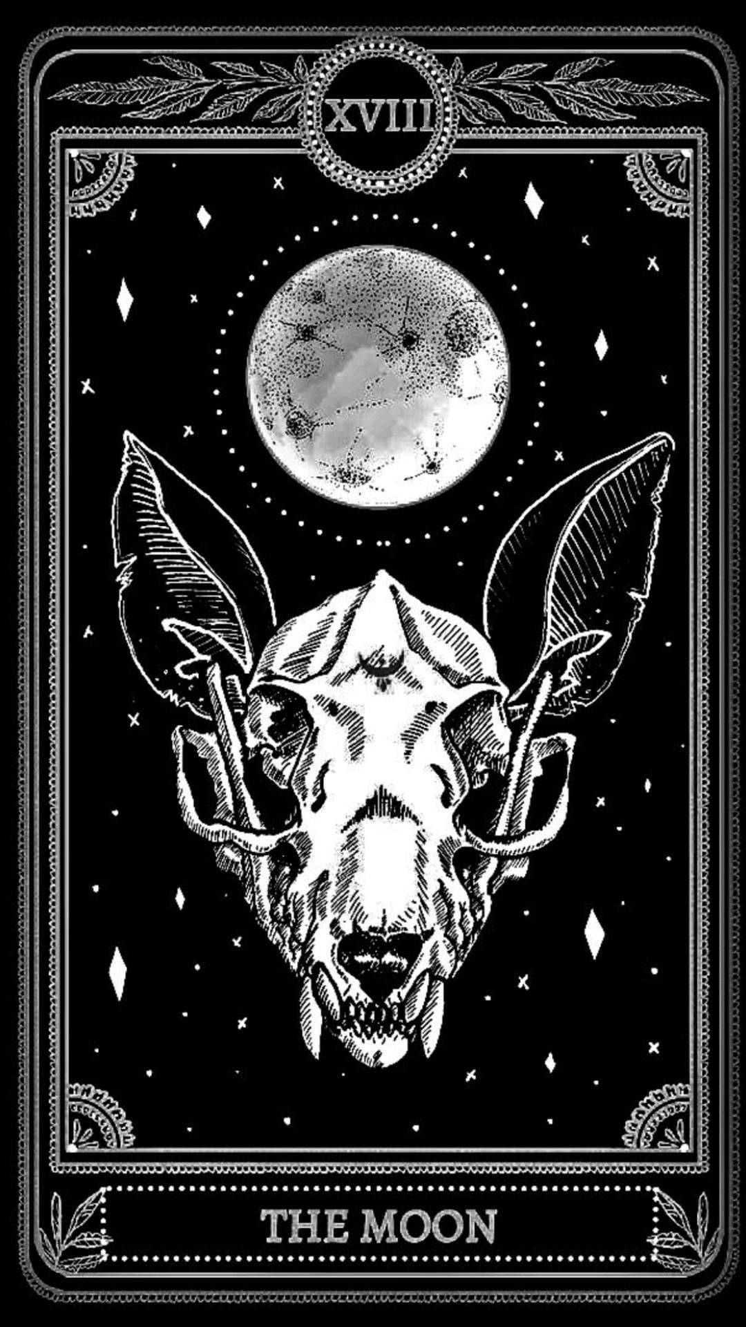 card 桌布 壁紙 — 一張清晰的黑白塔羅牌，描繪了在細節豐富的月亮和星星環繞下的蝙蝠頭骨。