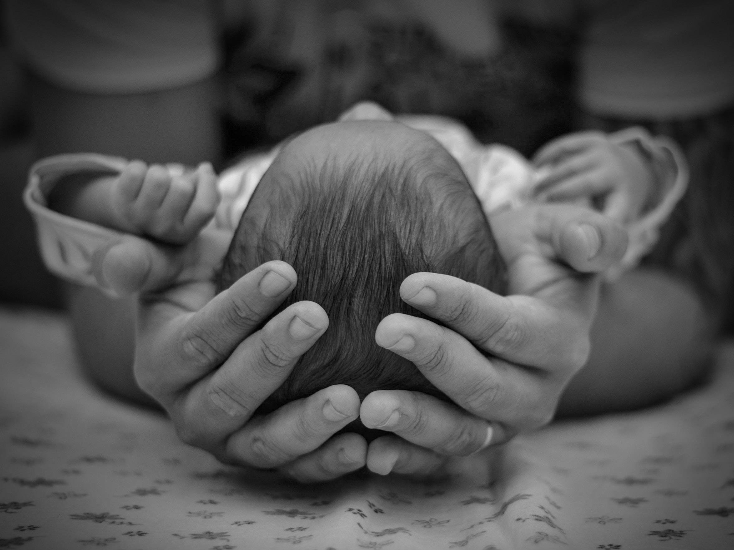 Newborn 桌布 壁紙 — 一張溫柔的黑白特寫，成年人的手用纖細的手指輕輕托著新生嬰兒的頭部。