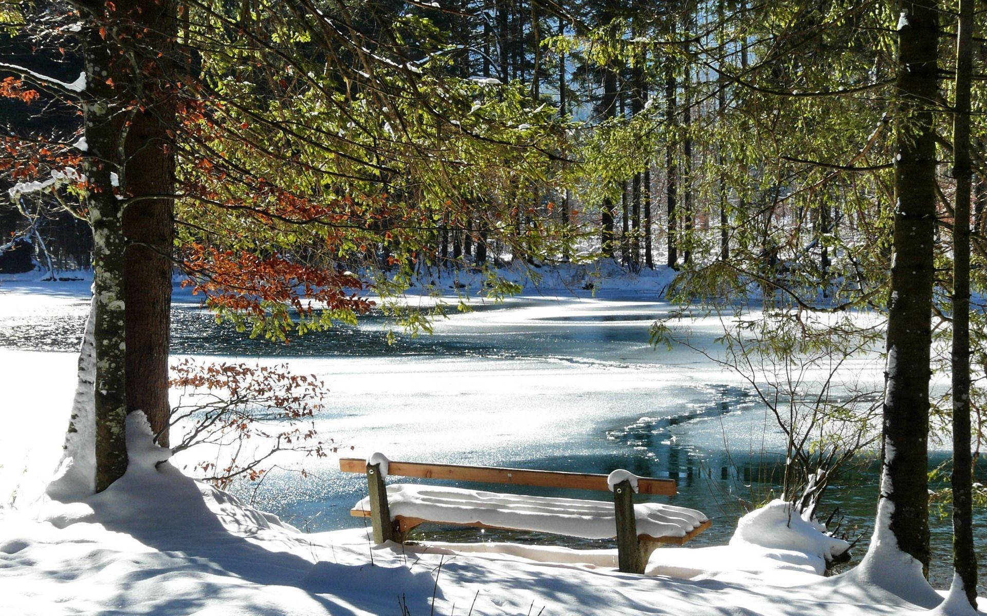 Bench 桌布 壁紙 — 一張灑滿雪的木長椅，位於陽光普照的冬季森林中，旁邊是部分結冰的湖泊，周圍有常青樹和秋葉。