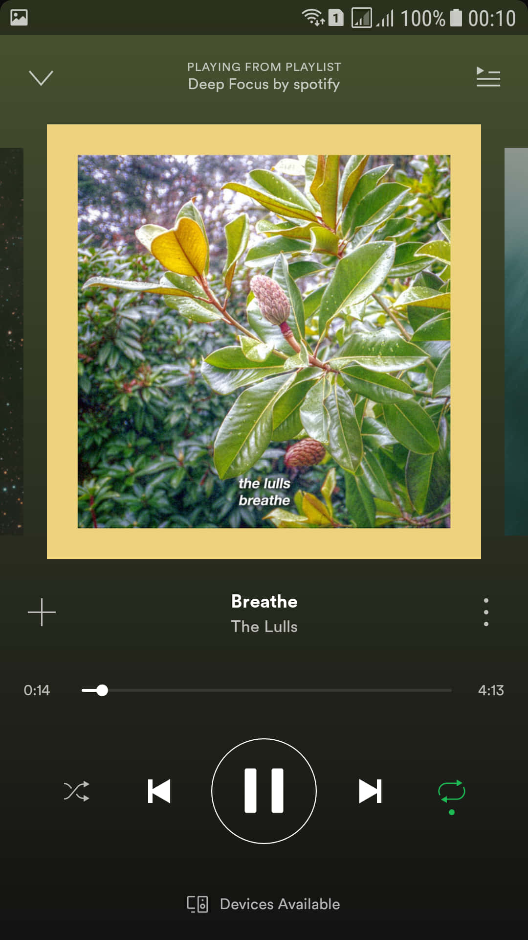 song 桌布 壁紙 — 一張特寫照片，顯示鮮綠色木蘭葉和花蕾，被黃色邊框框在Spotify音樂播放器螢幕上。