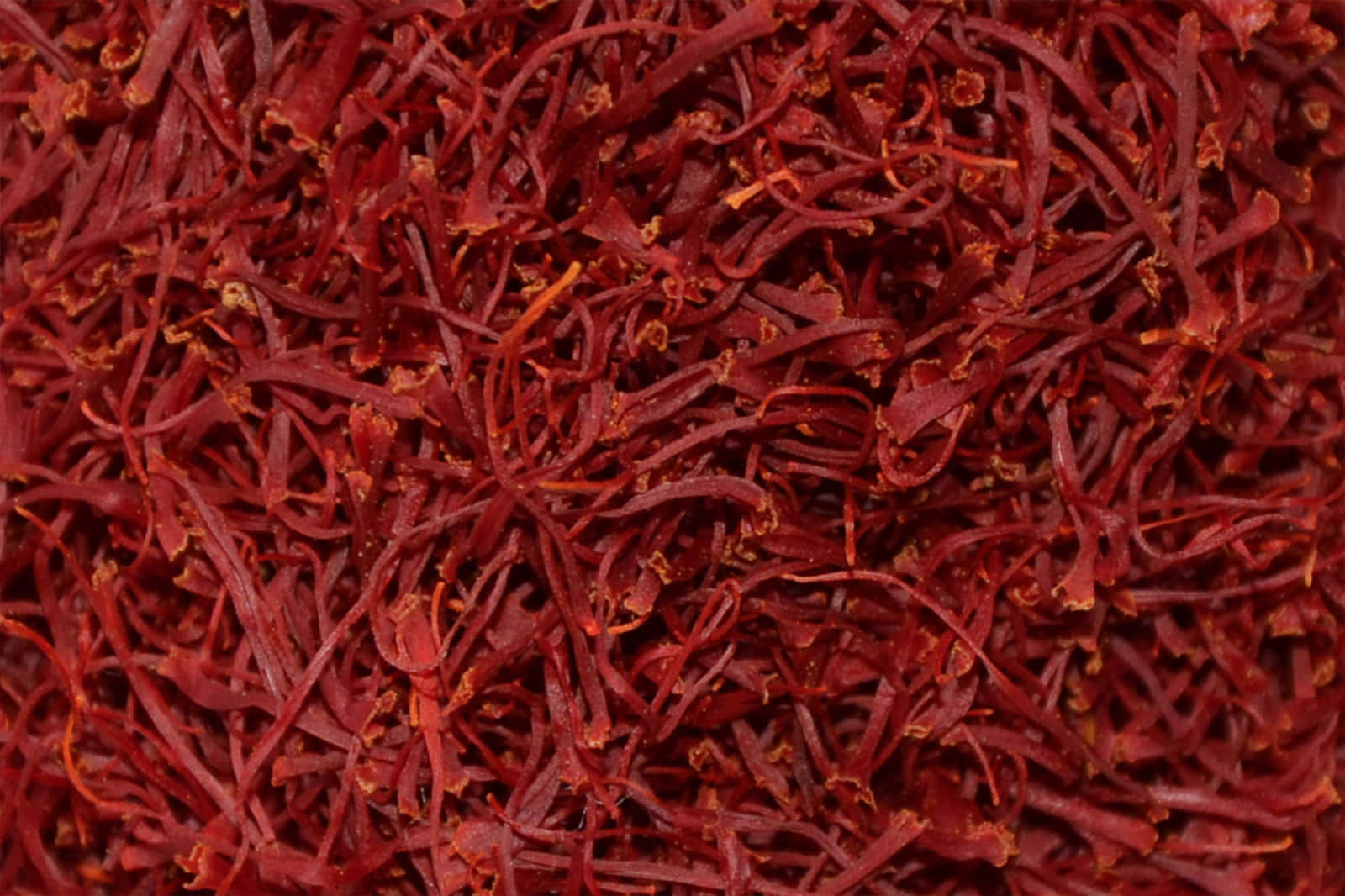 Saffron 桌布 壁紙 — 一張特寫照片，鮮豔的深紅色番紅花絲線，帶有精緻的橙色尖端，緊密地堆疊在一起。