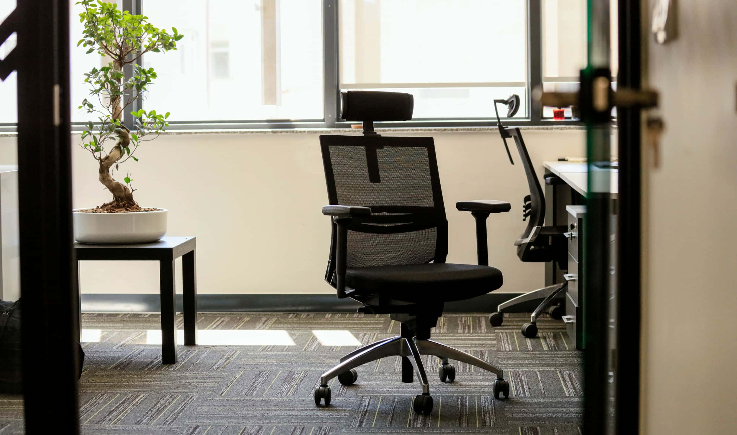 Office Space 桌布 壁紙 — 一張現代辦公椅位於簡約工作空間的中心，旁邊的邊桌上有一棵盆栽，靠近明亮的窗戶。