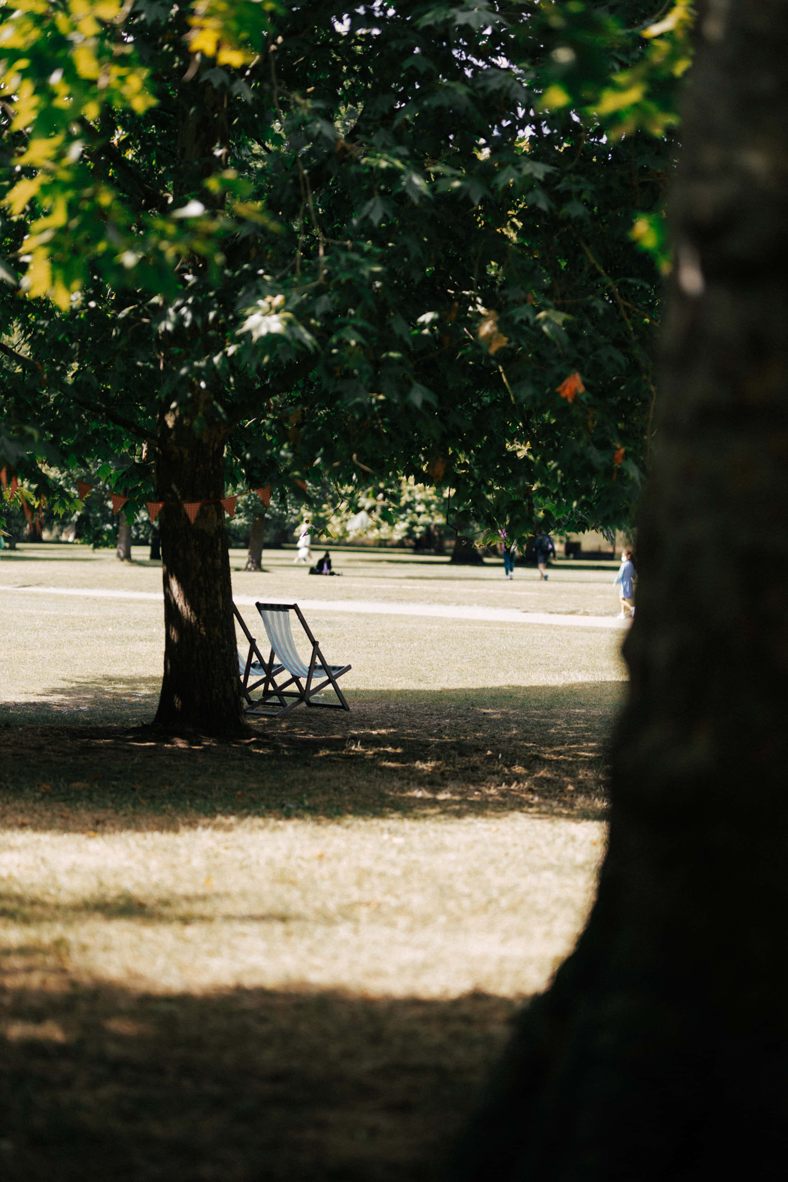 trees 桌布 壁紙 — 一張白色休閒椅放在陽光斑駁的公園樹蔭下，背景有散步的人們。