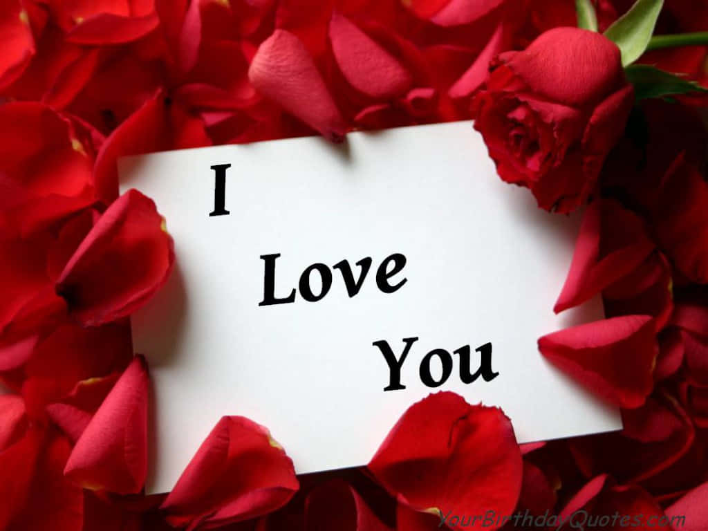 Valentines 桌布 壁紙 — 一張白色卡片，上面有粗體黑色文字寫著「I Love You」，放在鮮豔的紅玫瑰花瓣和花朵之間。