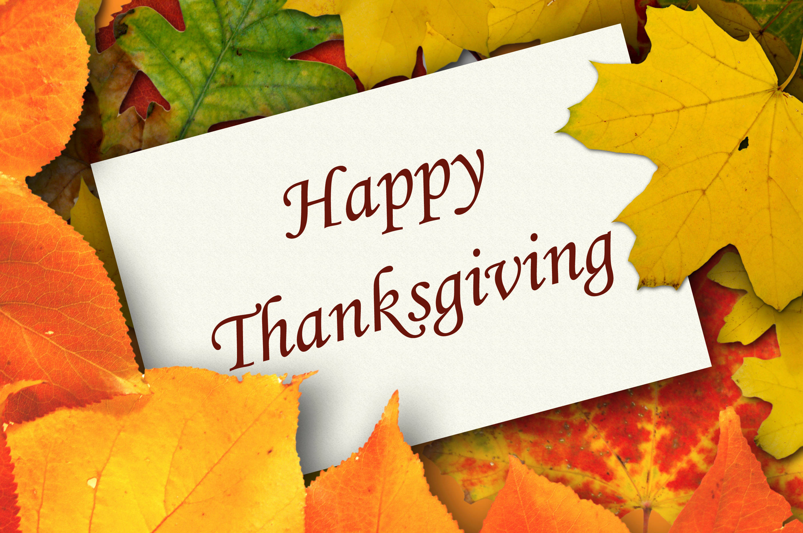 Cute Thanksgiving 桌布 壁紙 — 一張白色卡片，上面用紅色草書寫著「Happy Thanksgiving」，放在充滿活力的橙色、黃色和紅色秋葉之間。
