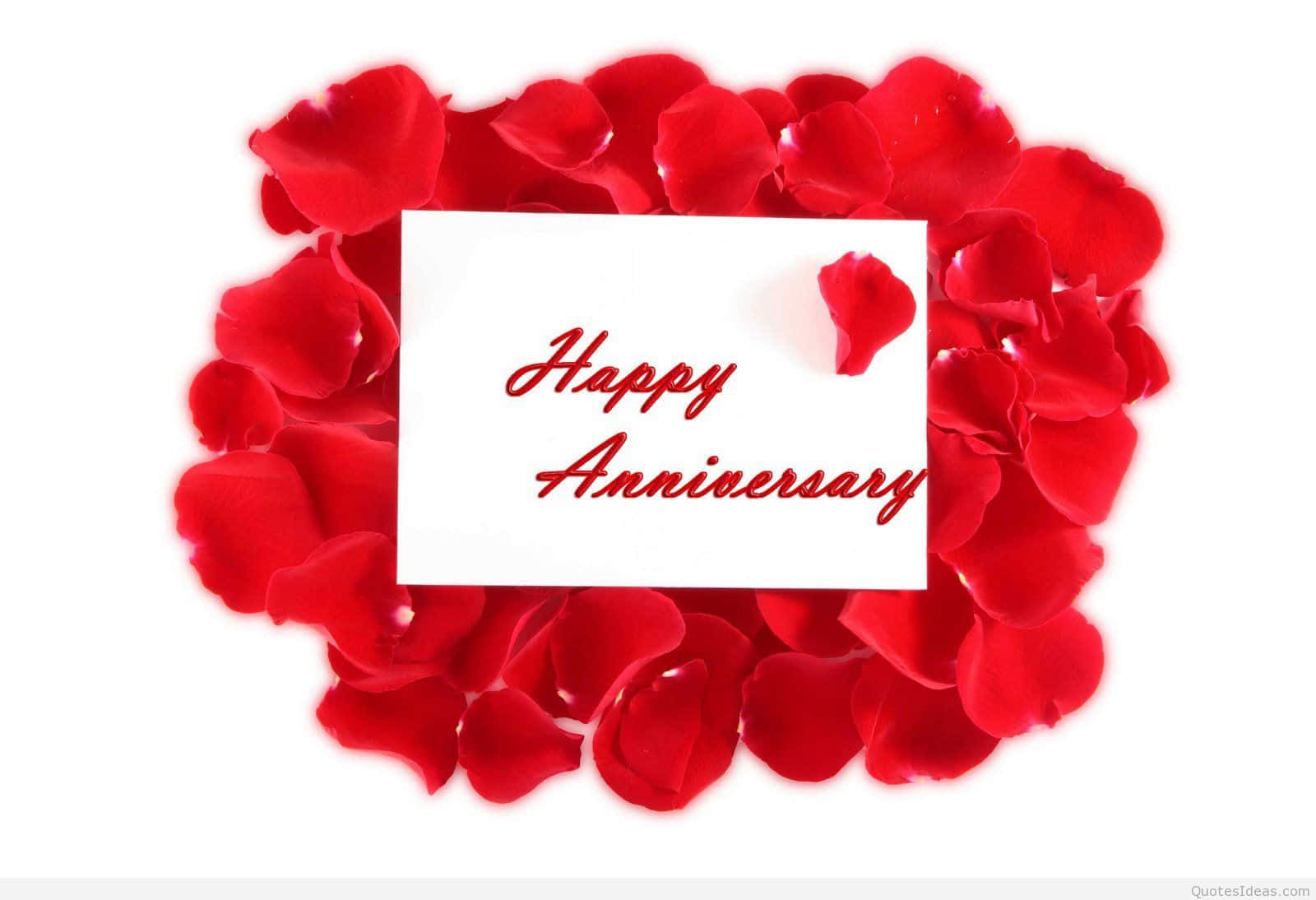 Anniversary 桌布 壁紙 — 一張白色卡片上以紅色草書寫著「Happy Anniversary」，周圍是鮮紅色玫瑰花瓣排列成的心形，背景為純白色。