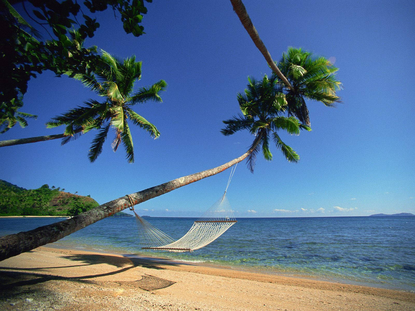 Fiji 桌布 壁紙 — 一張白色吊床掛在棕櫚樹之間，位於陽光普照的熱帶海灘上，有碧綠的海水和清澈的藍天。