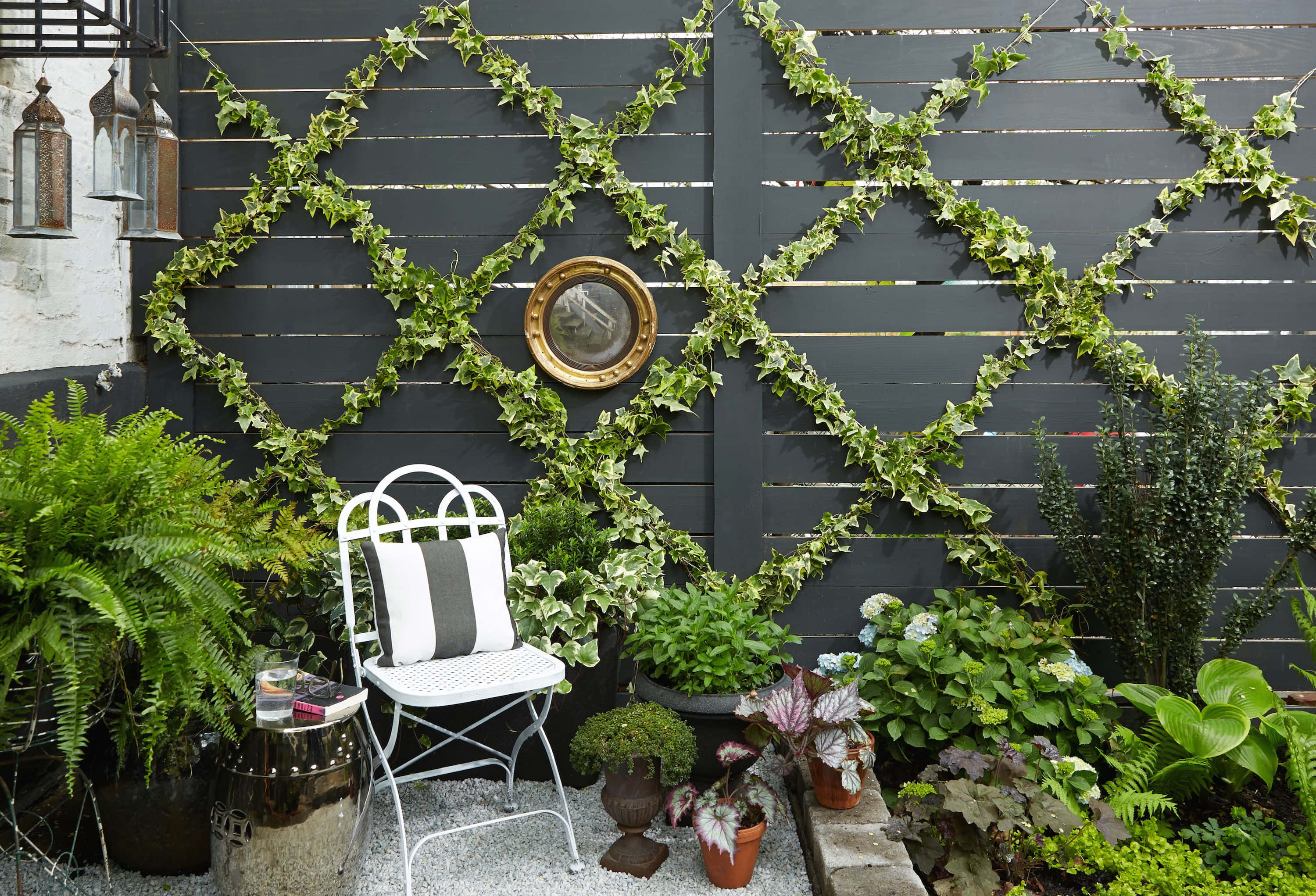 Garden Design 桌布 壁紙 — 一張白色花園椅放在深灰色板條籬笆前，籬笆上裝飾著茂密的綠色常春藤和盆栽植物。