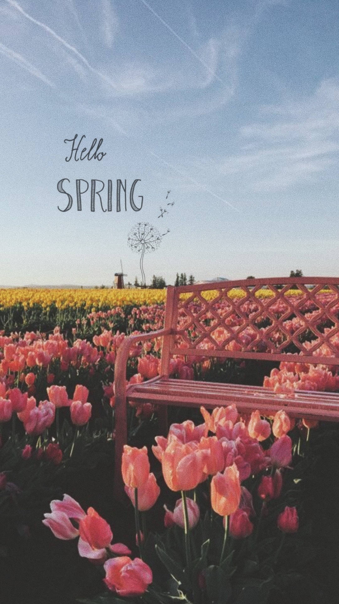 Spring Aesthetic 桌布 壁紙 — 一張粉紅色長椅坐落於盛開的鬱金香花田中，上方是晴朗的藍天，帶有「Hello SPRING」文字和一朵蒲公英。