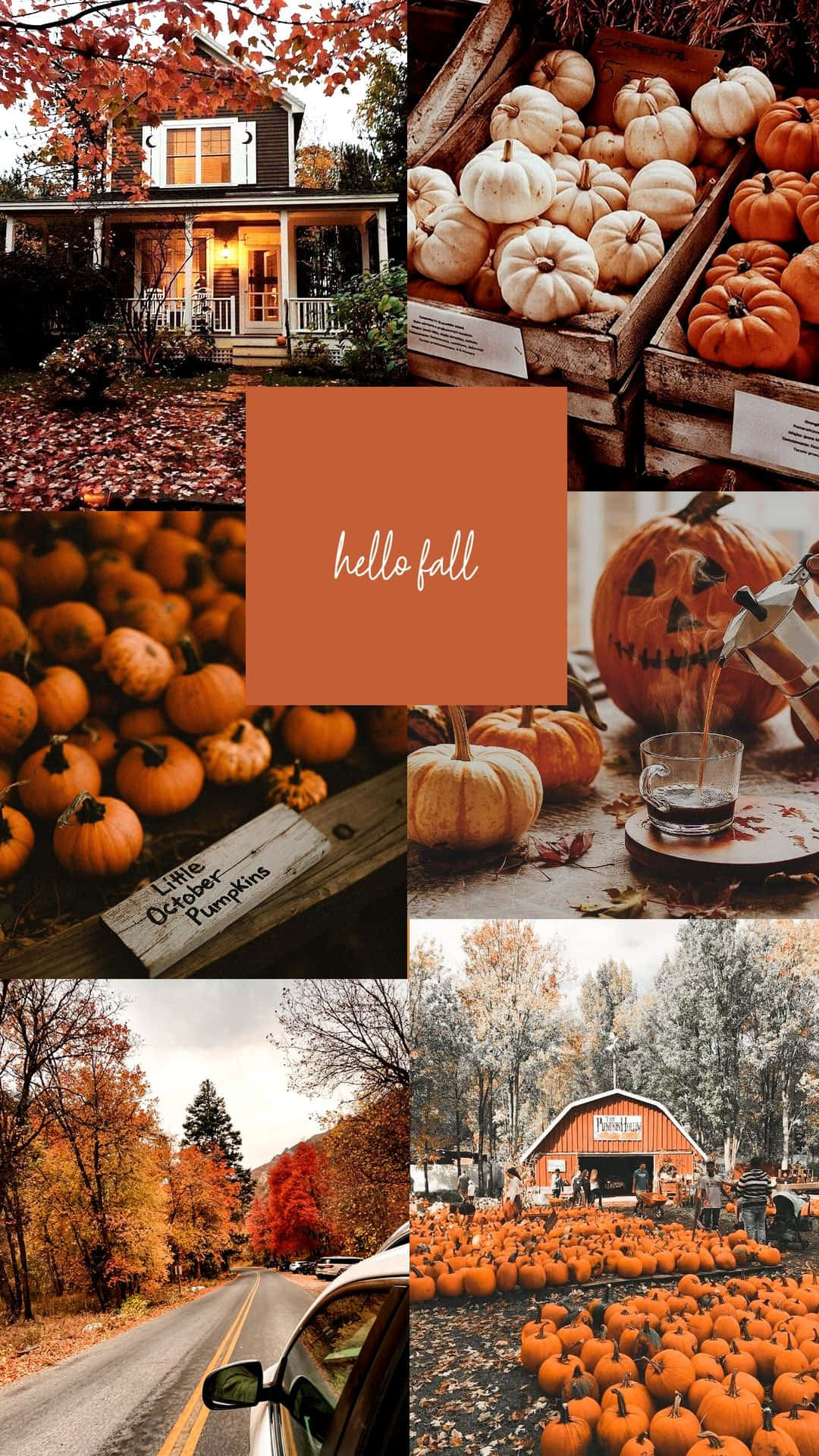 Cute Autumn 桌布 壁紙 — 一張舒適的秋季拼貼畫，以南瓜豐收場景、質樸農舍和溫暖橙色調的落葉為特色。
