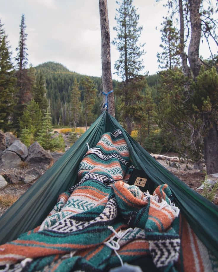 Winter Camping 桌布 壁紙 — 一張舒適的綠色吊床，披著一條圖案毛毯，懸掛在森林覆蓋的山谷樹木之間。
