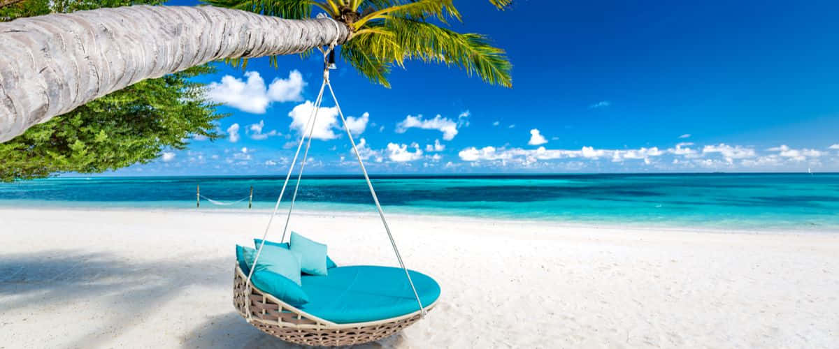 Maldives Island 桌布 壁紙 — 一張藍綠色吊床式躺椅在棕櫚樹下搖曳，位於純淨白色沙灘上，伴隨著藍綠色海洋和藍天。