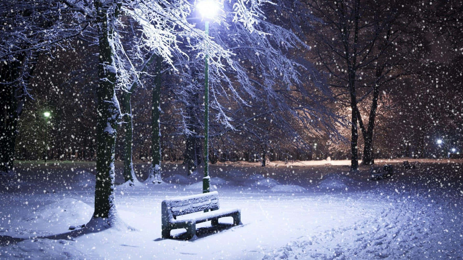 雪 桌布 壁紙 — 一張被雪覆蓋的公園長椅在街燈下發光，夜晚雪花輕輕飄落在光禿禿的樹木周圍。