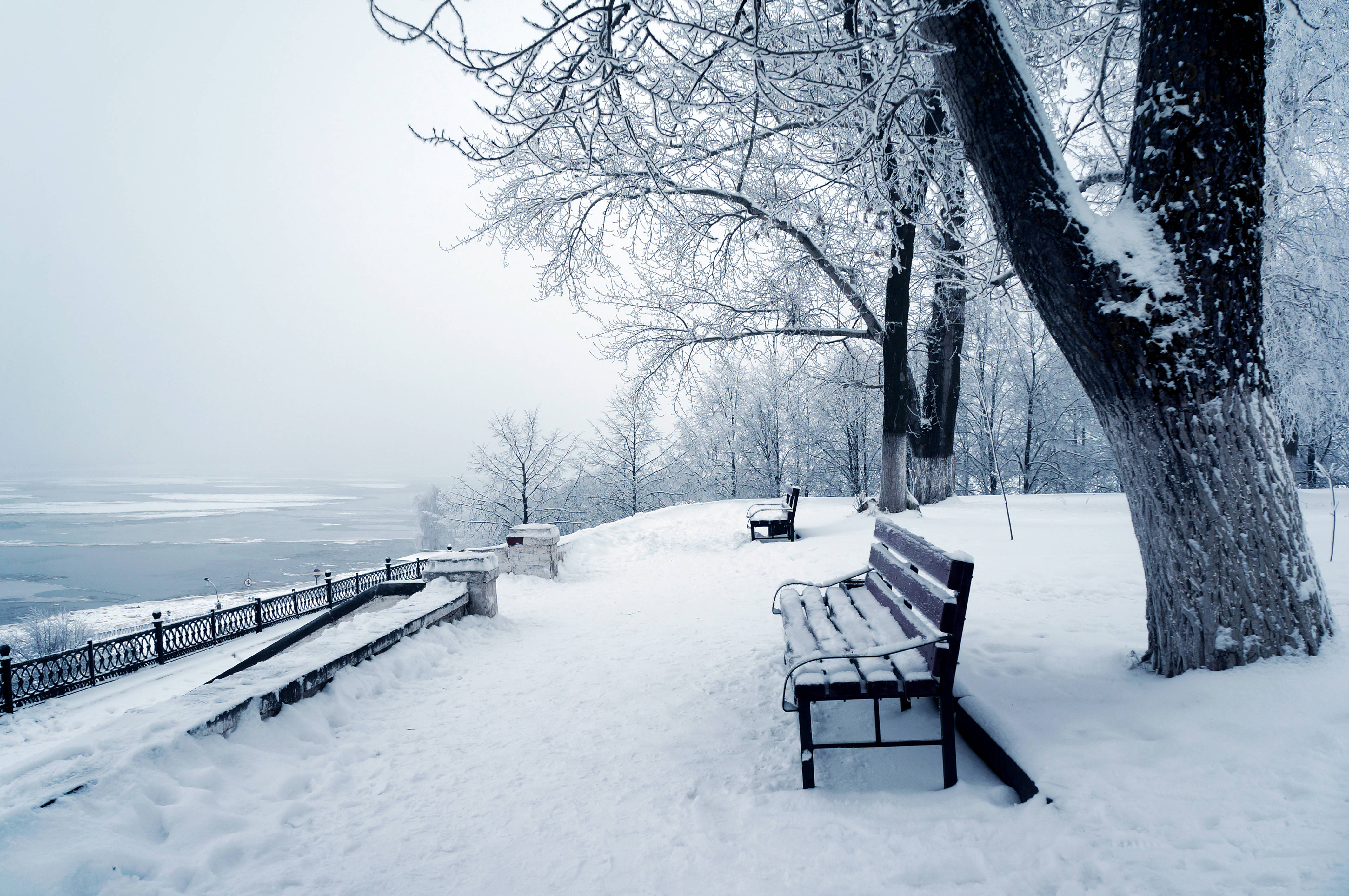 Bench 桌布 壁紙 — 一張被雪覆蓋的公園長椅靜靜地坐在結冰的河邊，天空是灰色的冬日景象。