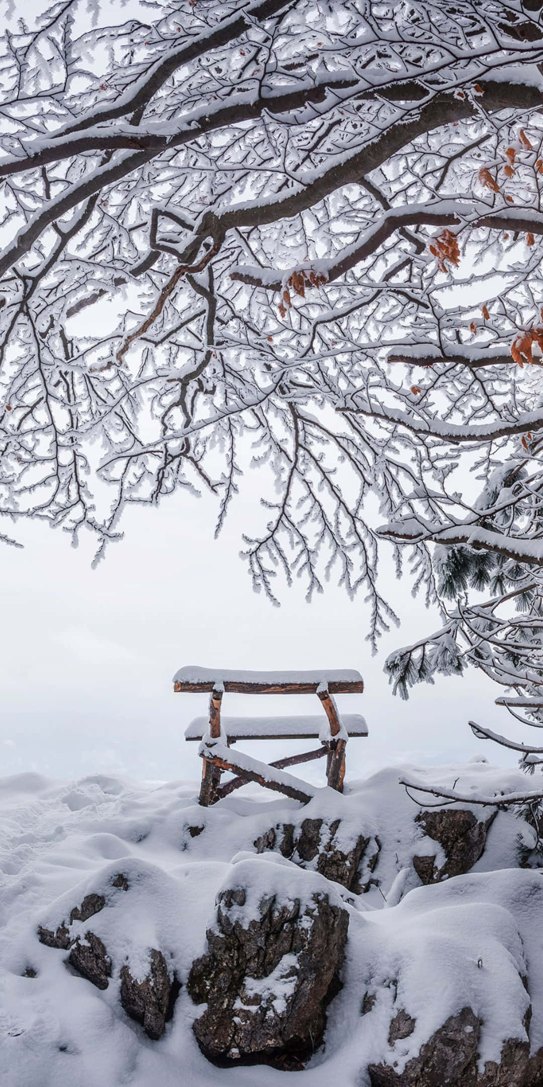 Winter 桌布 壁紙 — 一張被雪覆蓋的木製長凳獨自坐在岩石地形上，上方是結霜的樹枝形成的樹冠，映襯著蒼白的冬日天空。