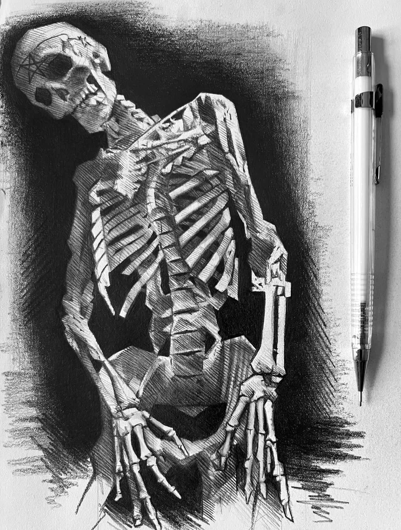 骷髏動圖 桌布 壁紙 — 一張詳細的木炭素描，描繪一個直立坐著的人類骨骼，旁邊有一支鉛筆，畫在有紋理的紙上。