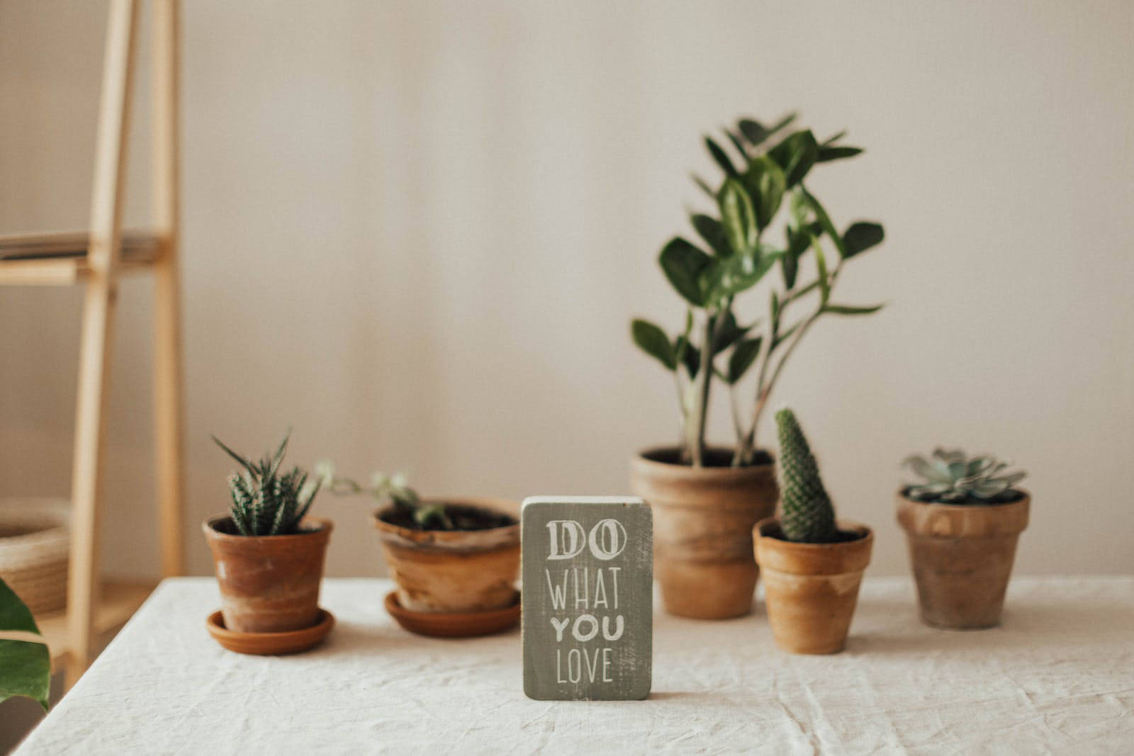 Motivation 桌布 壁紙 — 一張質樸的木桌上放著陶土盆，裡面種有各種多肉植物，還有一個勵志標語牌，上面寫著「做你所愛」。