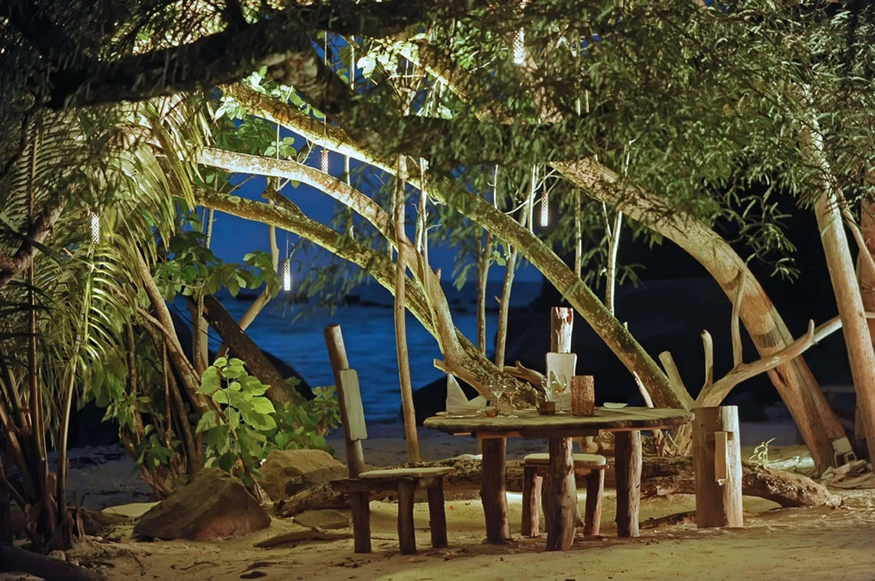 Seaside 桌布 壁紙 — 一張質樸的木桌和椅子，置於夜間沙灘上發光的樹枝下，背後是深藍色的海洋。