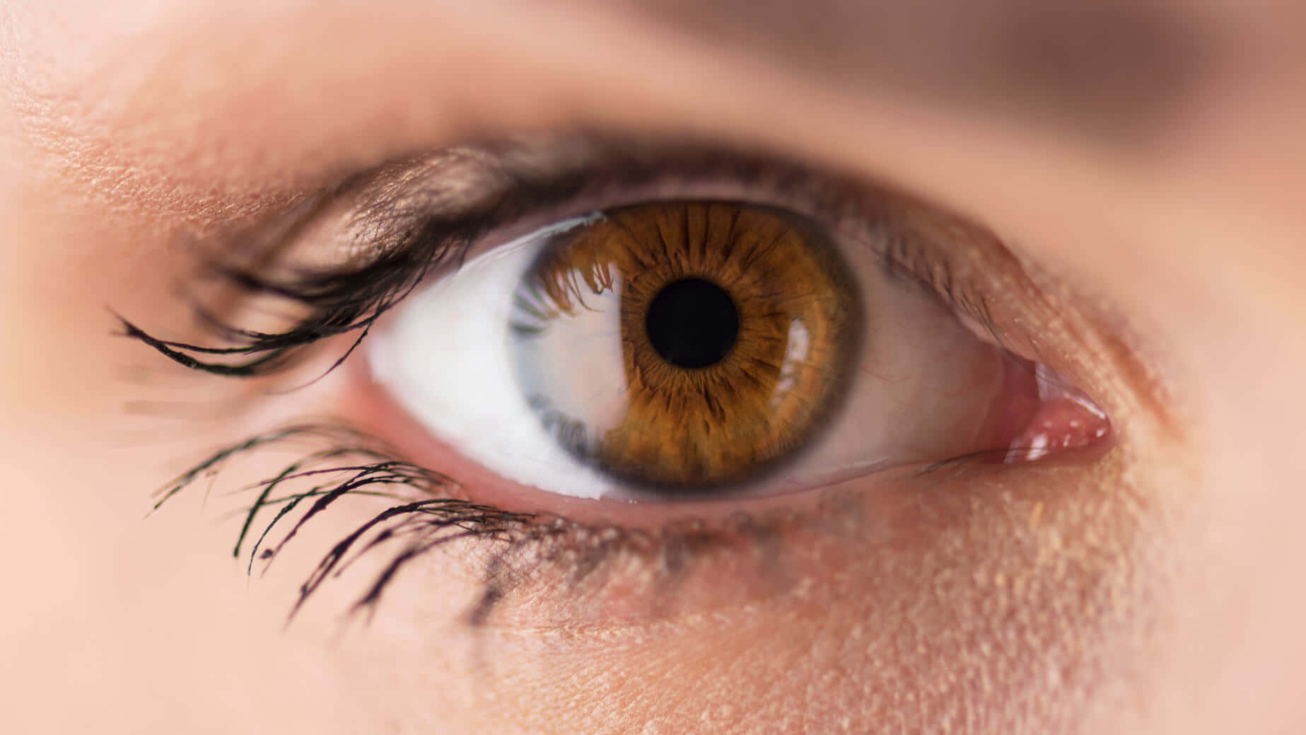 Eyes 桌布 壁紙 — 一張超寫實的人類眼睛特寫，呈現溫暖的棕色虹膜和長長的黑色睫毛，背景為柔和的膚色。