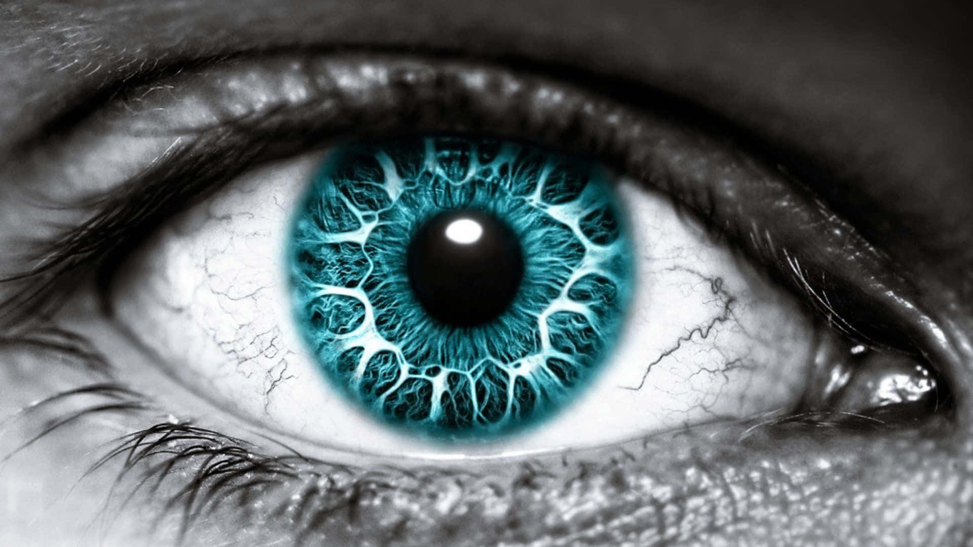 Eyes 桌布 壁紙 — 一張超詳細的人類眼睛特寫，帶有電光藍色虹膜和單色環境。
