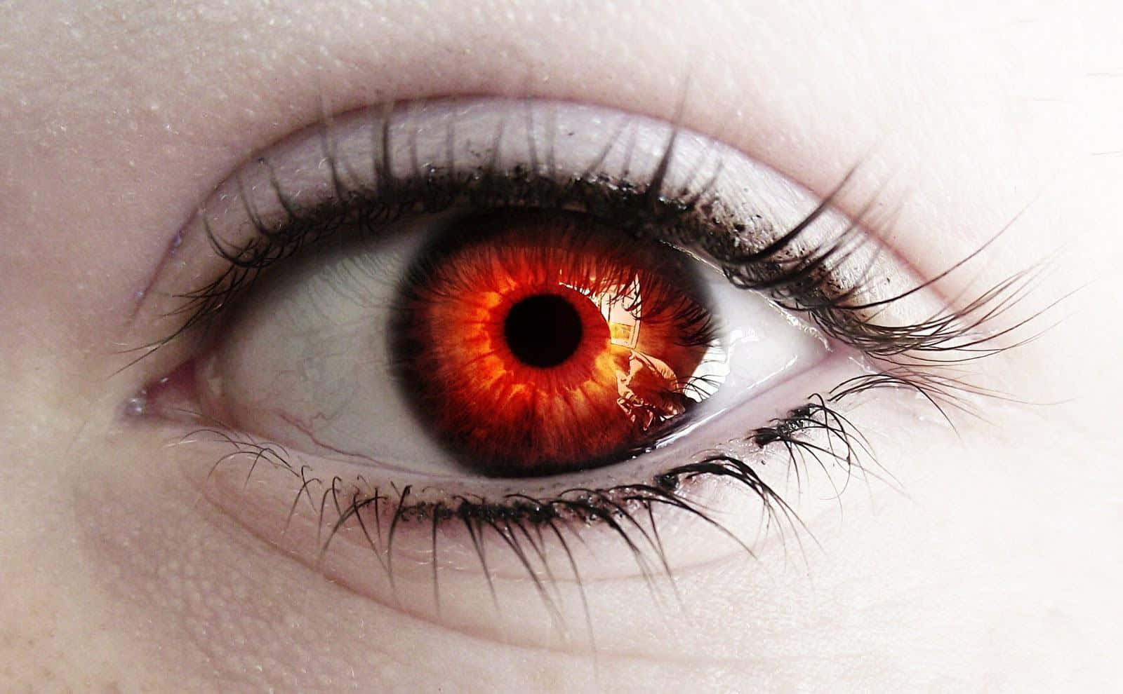 Eyes 桌布 壁紙 — 一張超詳細的人類眼睛特寫，擁有鮮豔的紅色虹膜和長長的黑色睫毛，襯托著蒼白的皮膚。