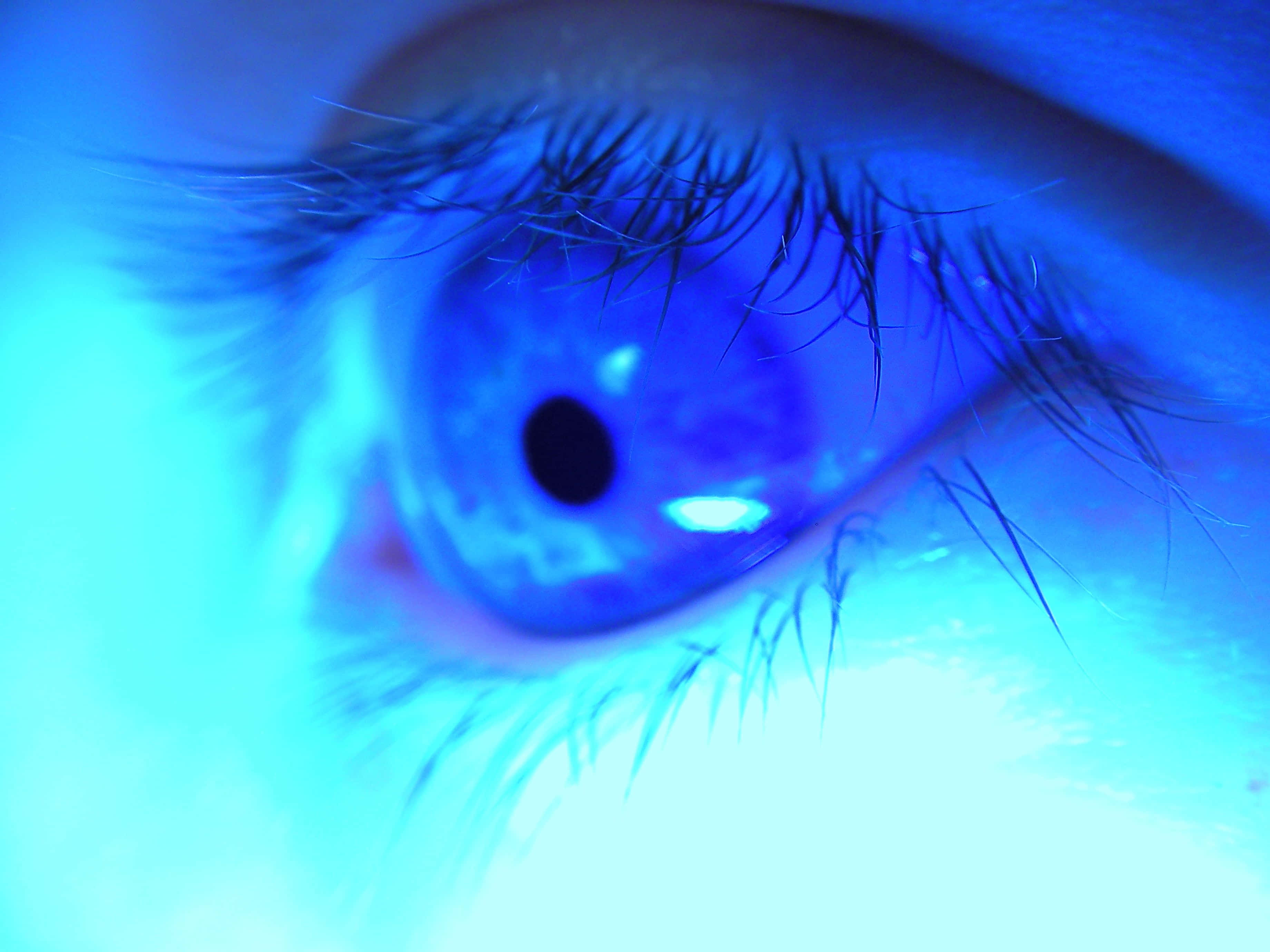 Eyes 桌布 壁紙 — 一張超詳細的人類眼睛特寫，沐浴在電光藍色光線中，帶有銳利的睫毛和發光的反射。