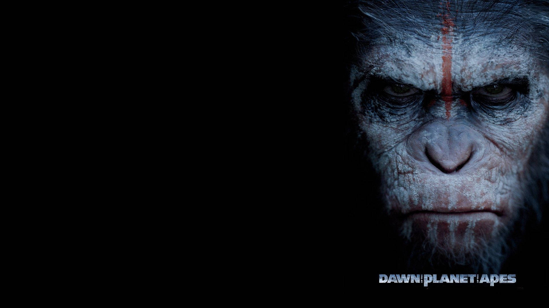 planet of the apes 桌布 壁紙 — 一張近距離拍攝的猩猩，臉上帶有紅色標記，從黑暗中顯現，帶有威脅感。