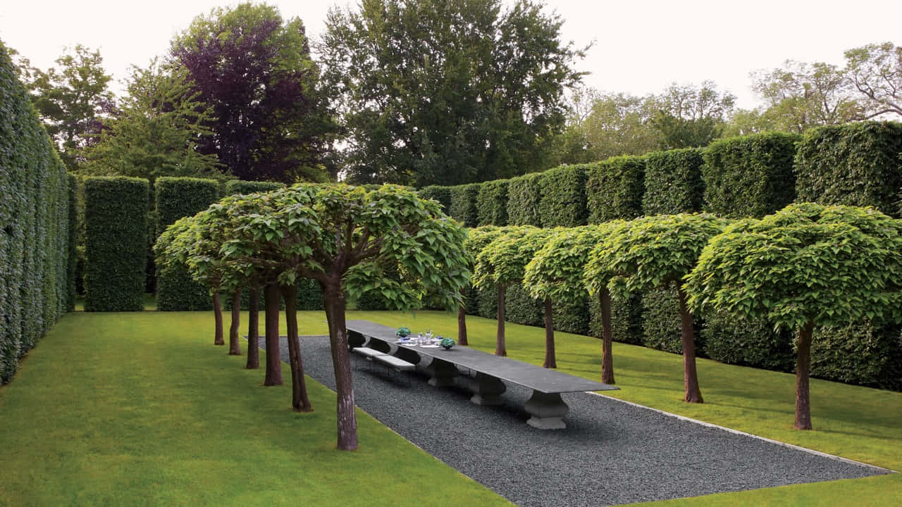 Garden Design 桌布 壁紙 — 一張長石桌和長凳位於一條碎石小徑上，兩旁是修剪整齊的樹籬和對稱的樹木，營造出寧靜的正式花園氛圍。