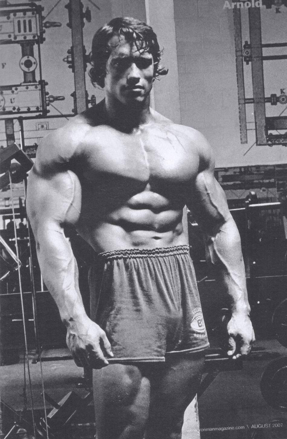 Arnold 桌布 壁紙 — 一張阿諾·史瓦辛格在健身房展示肌肉體格的黑白照片。