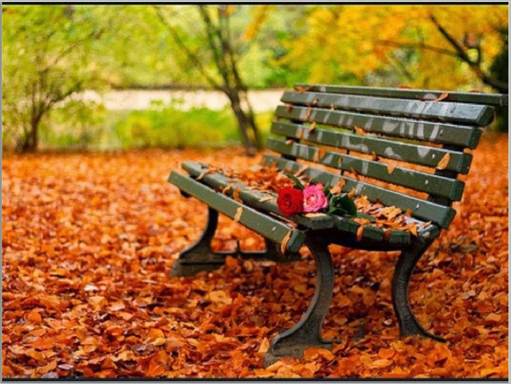 Bench 桌布 壁紙 — 一張風化的綠色公園長椅被鮮豔的橙色秋葉地毯包圍，座椅上放著兩朵紅玫瑰。