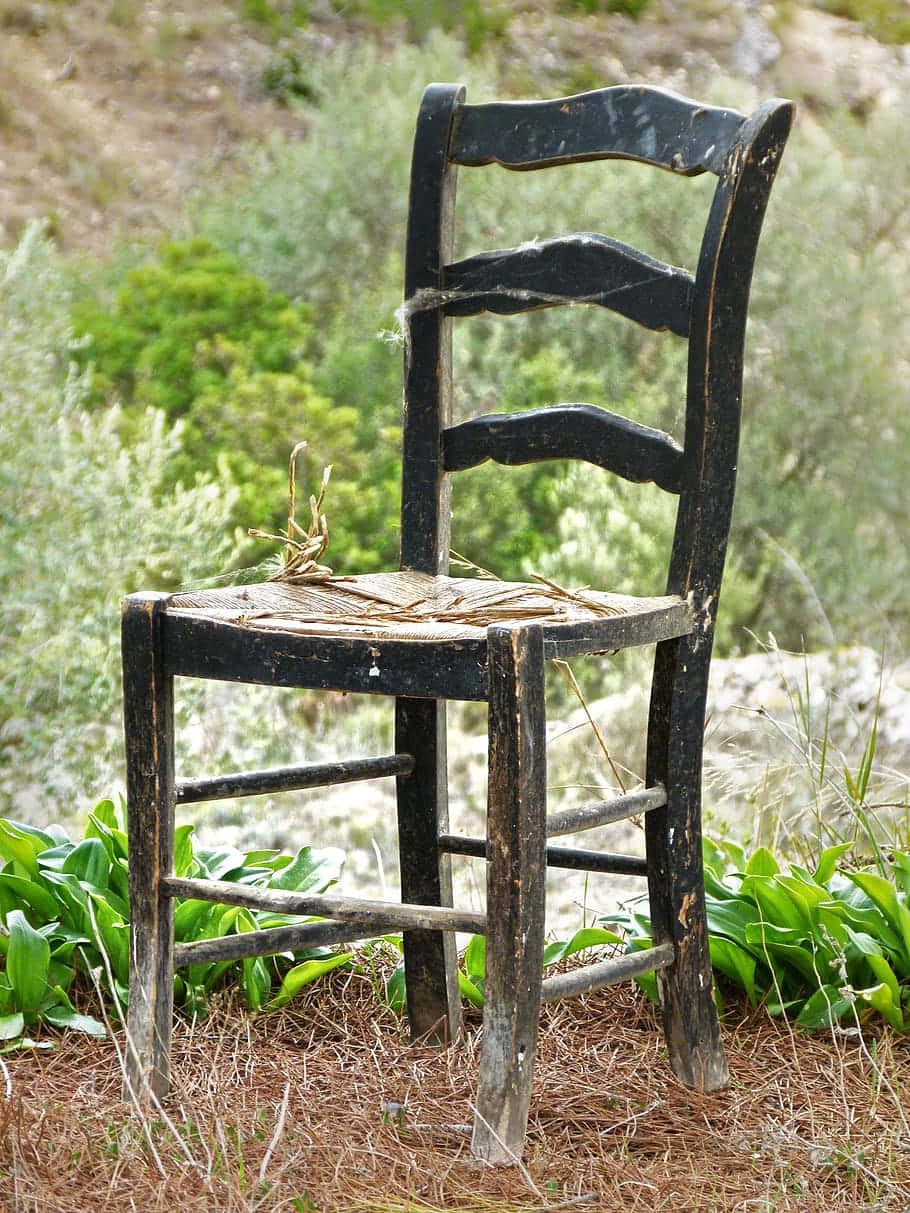 chair 桌布 壁紙 — 一張風化的黑色木椅，配有稻草座位，獨自矗立在陽光普照的乾草和綠葉田野中。
