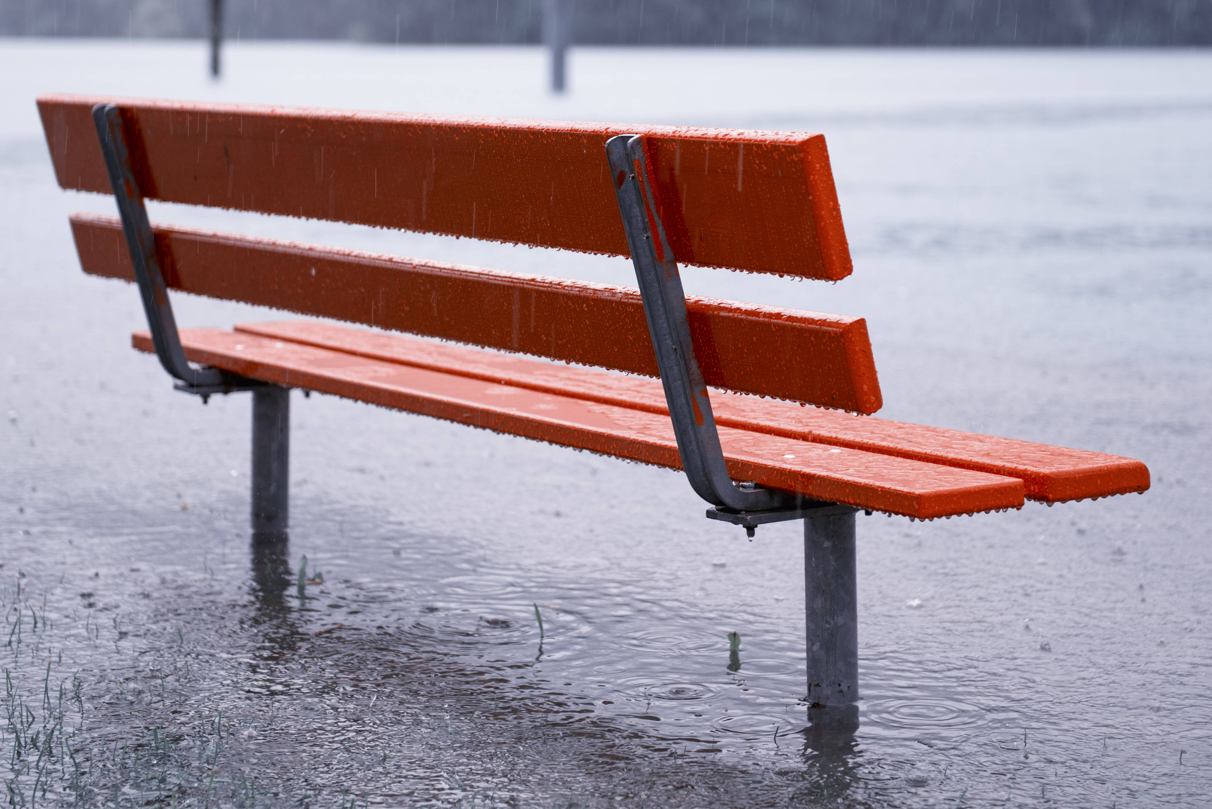 下雨 桌布 壁紙 — 一張鮮橙色的公園長椅獨自立在淺水洪水中，在持續的雨勢下，表面閃爍著水滴。