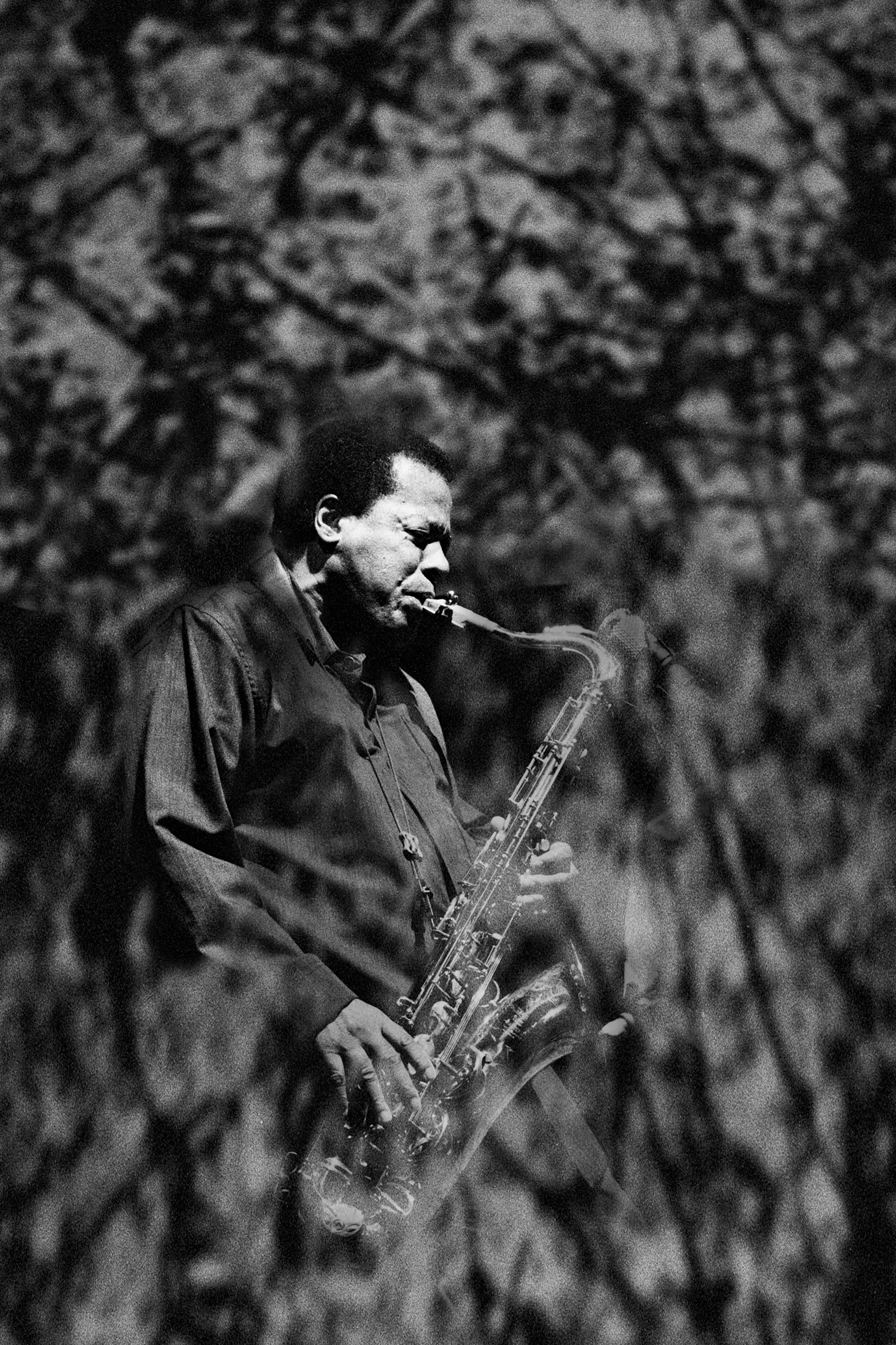 Wayne Shorter 桌布 壁紙 — 一張黑白照片，一名男子在吹奏薩克斯風，背景有模糊的樹枝。