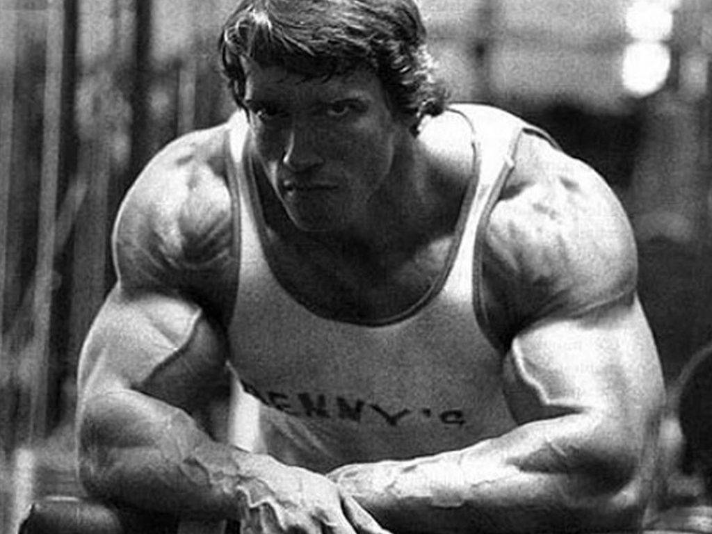 Arnold 桌布 壁紙 — 一張黑白照片，一名肌肉發達的男子穿著背心，在健身房環境中專注地向前凝視。