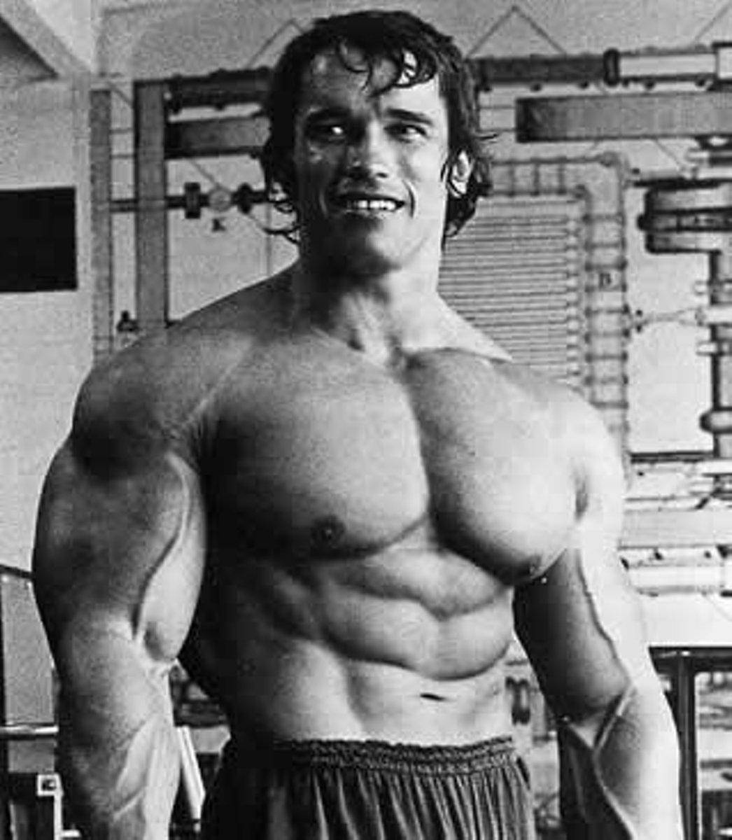 Arnold 桌布 壁紙 — 一張黑白照片，一名赤膊肌肉男在健身房微笑，身後有舉重器材。