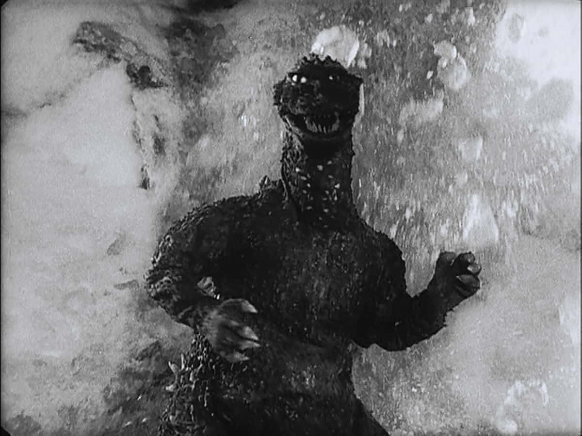 Godzilla 1954 桌布 壁紙 — 一張黑白照片，哥吉拉從水中出現，咆哮的頭部和帶爪的手周圍有飛濺的水滴。