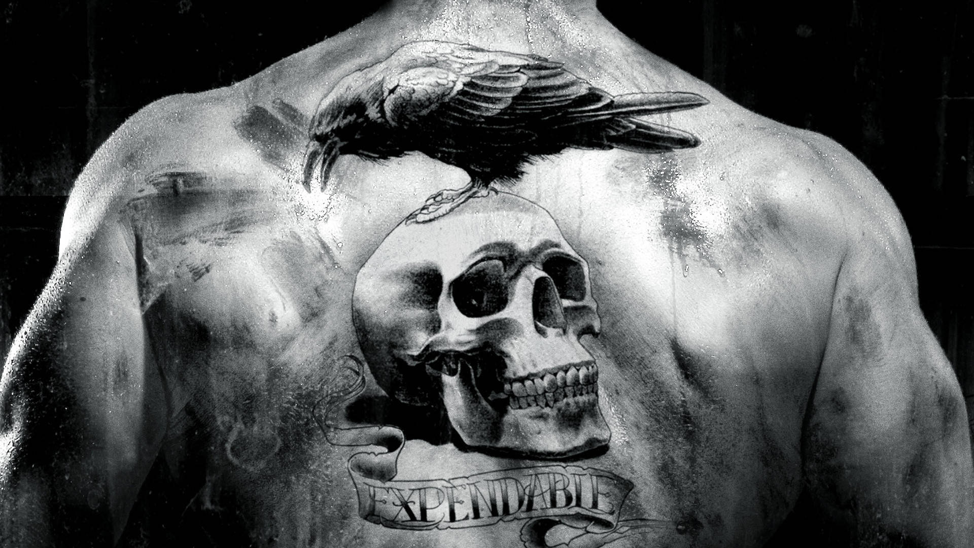 Tattoo 桌布 壁紙 — 一張黑白照片，展示肌肉發達的背部，上面有詳細的烏鴉棲息在標有expendable的頭骨上的刺青。